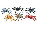 Colorful Spiders