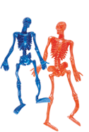 Large Stretchy Skeleton