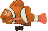 Swimming Clownfish