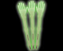 Glow in the Dark Skeleton Arm Pen