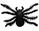 Stretchy Spider