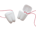 Tooth Keeper Necklace - Individually Bagged