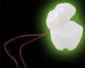 Large Glow in the Dark Tooth Necklace