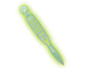 Glow Skeleton Pen
