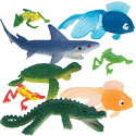 Marine Creatures and Fish