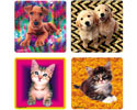 Kitten & Puppy Sticker - Roll