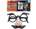 Disguise Set