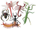 Realistic Insects