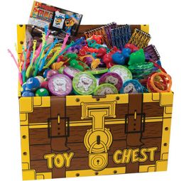 Assortment of 500 Deluxe Toys - with Toy Chest