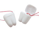 Tooth Keepers