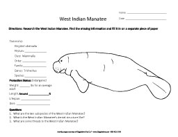 Research the Manatee
