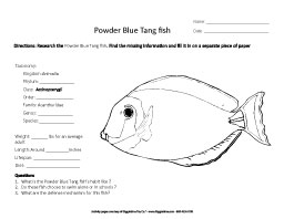 Research the Powder Blue Tangfish