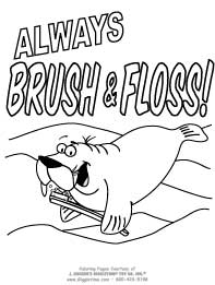 Always Brush & Floss - Walrus