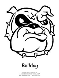 Bulldog