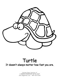 Turtle