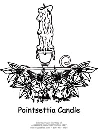 Pointsettia Candle