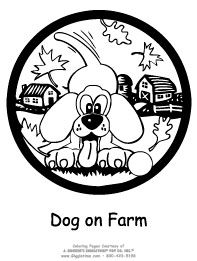 Dog on Farm
