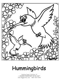 Hummingbirds