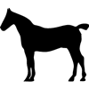 1003-Horse-19