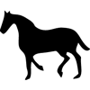 1007-Horse-23