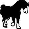 1015-Horse-31