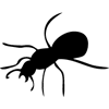 1027-Insect-01