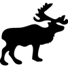 1067-Moose-1