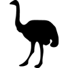 1081-Ostrich