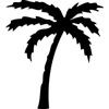 1085-Palm-Tree-02