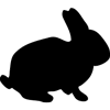 1102-Rabbit-03