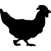 1123-Rooster-01