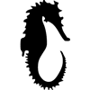 1133-Seahorse-1