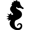 1134-Seahorse-2