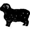 1144-Sheep-01