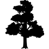 1182-Tree-04