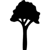 1183-Tree-05