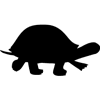 1190-Turtle-2