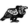 1194-Vulture