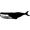 1196-Whale-2