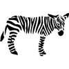 1203-Zebra-01