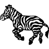 1204-Zebra-02