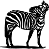 1206-Zebra-04