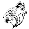 121_BOBCAT3