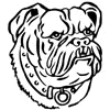 147_BULLDOG2