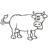 181_COW5