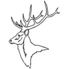 187_DEER2