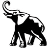 267_ELEPHANT1