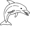 033_dolphin