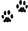 046_paw3