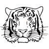 548_TIGER03